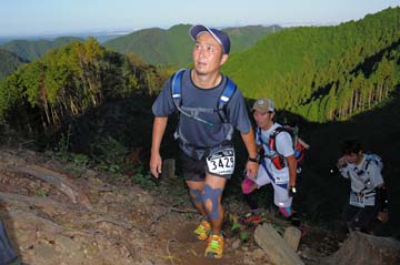 hase71k2013_1618