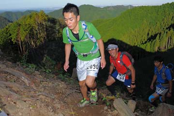hase71k2013_1664