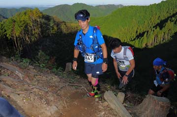 hase71k2013_1676