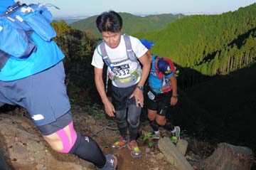 hase71k2013_1677