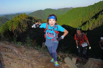 hase71k2013_1710