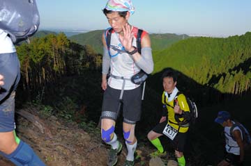hase71k2013_1983