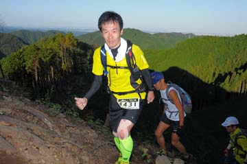 hase71k2013_1984