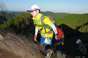 hase71k2013_1986