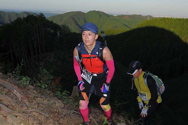 hase71k2013_2604
