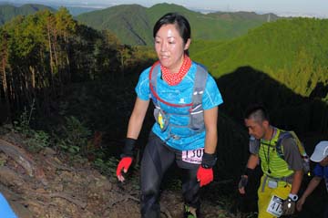 hase71k2013_2061