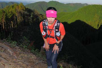 hase71k2013_2077