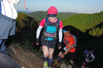 hase71k2013_2082