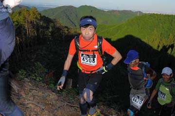 hase71k2013_2179