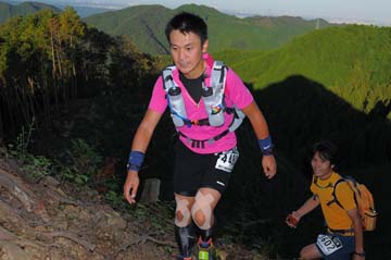 hase71k2013_2185