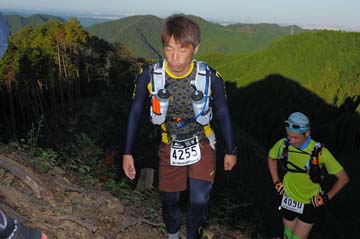 hase71k2013_2202