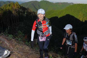 hase71k2013_2266