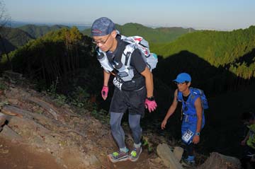 hase71k2013_2317