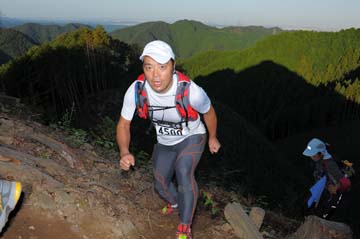 hase71k2013_2336