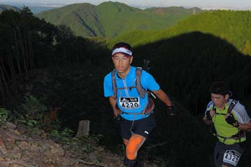 hase71k2013_2496