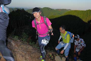hase71k2013_2567