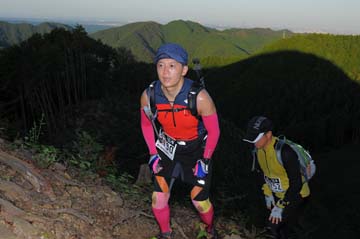 hase71k2013_2604