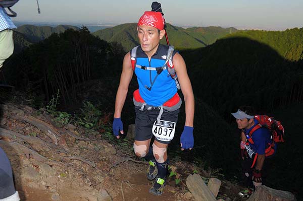 hase71k2013_2680