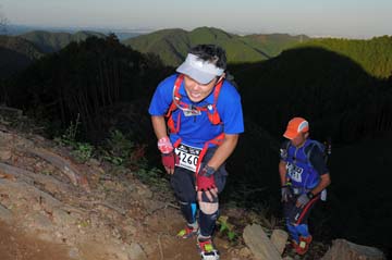 hase71k2013_2681