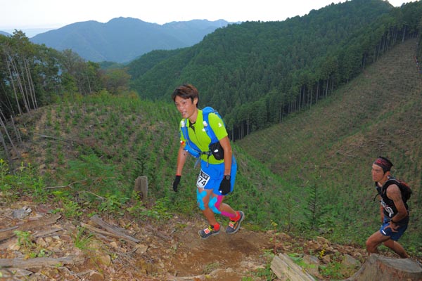 hase71k2014_101