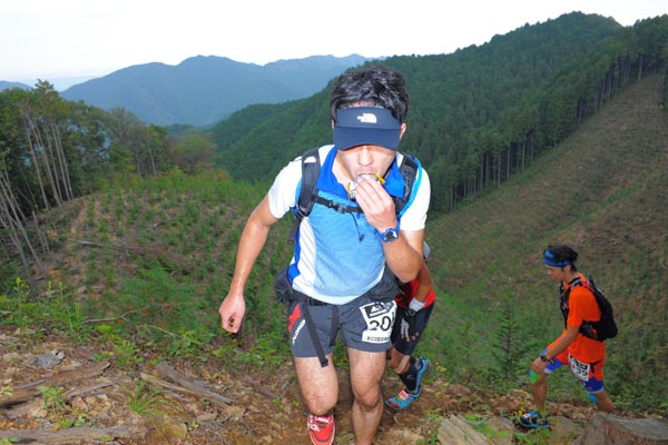 hase71k2014_155