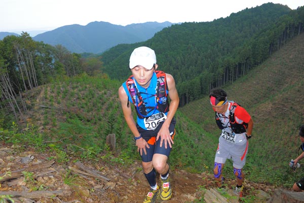 hase71k2014_158