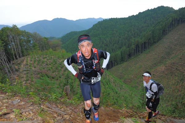 hase71k2014_174