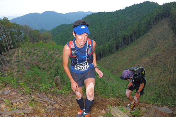 hase71k2014_182