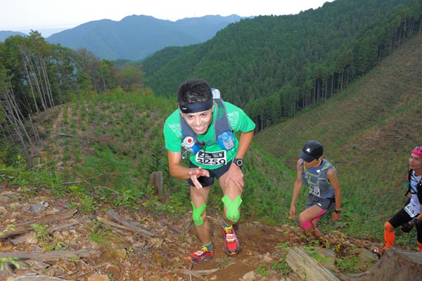 hase71k2014_195