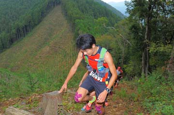 hase71k2014_005