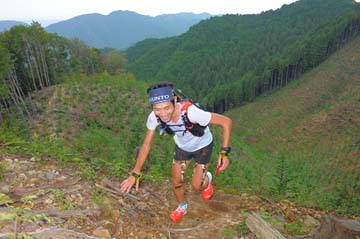 hase71k2014_014