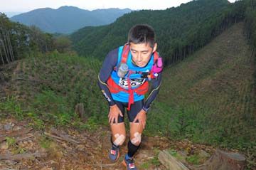 hase71k2014_068