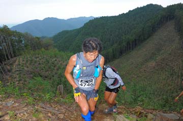 hase71k2014_086