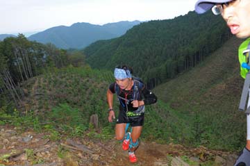 hase71k2014_094