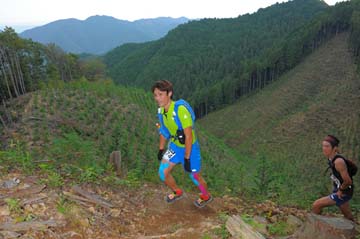 hase71k2014_100