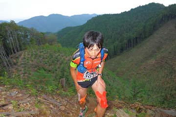 hase71k2014_119