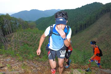 hase71k2014_155