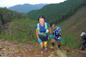 hase71k2014_187