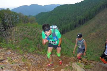 hase71k2014_194