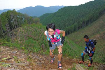 hase71k2014_208