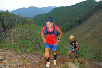 hase71k2014_214