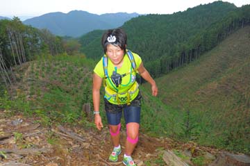 hase71k2014_231