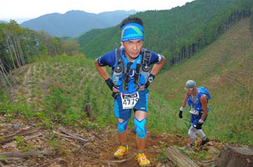 hase71k2014_0600