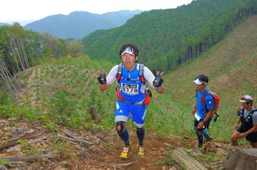 hase71k2014_0617