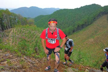 hase71k2014_0956