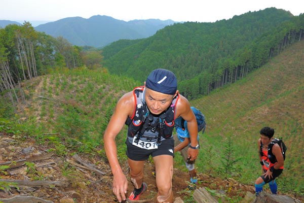 hase71k2014_1088