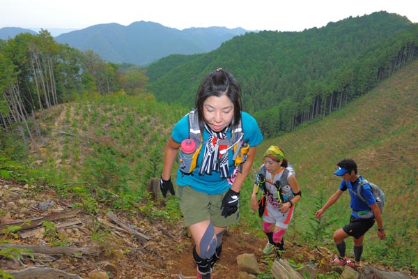 hase71k2014_1317