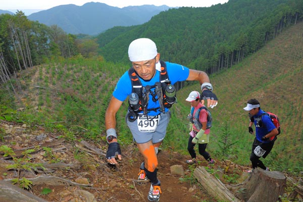 hase71k2014_1480