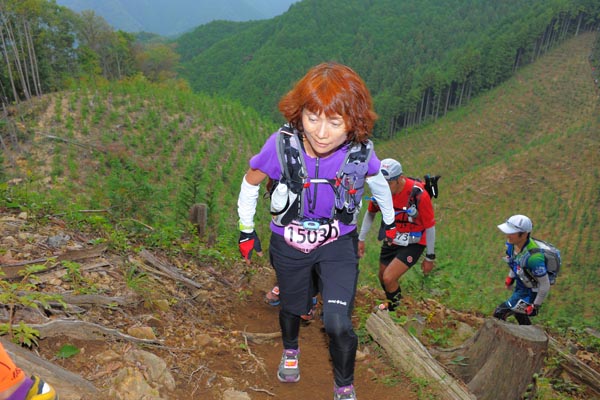 hase71k2014_1714