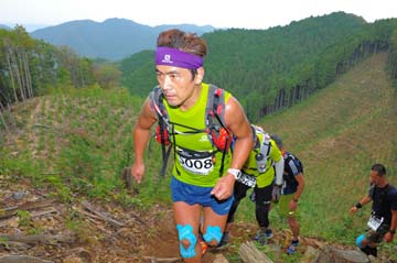 hase71k2014_1113